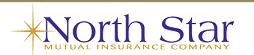 Image of NorthStar Mutual logo